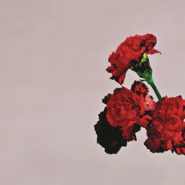 Love in the Future cover: red carnations against a grey sky